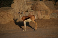 Canon EOS REBEL T2i, 2013:08:12 10:18:43 -- 1/1000 sec, f/6.3.  No Flash, Compulsory.3456x2304 Off.