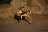 Canon EOS REBEL T2i, 2013:08:12 10:18:44 -- 1/1000 sec, f/6.3.  No Flash, Compulsory.3456x2304 Off.