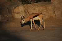 Canon EOS REBEL T2i, 2013:08:12 10:18:59 -- 1/1000 sec, f/6.3.  No Flash, Compulsory.3456x2304 Off.