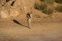Canon EOS REBEL T2i, 2013:08:12 10:20:14 -- 1/250 sec, f/7.1.  No Flash, Compulsory.3456x2304 Off.