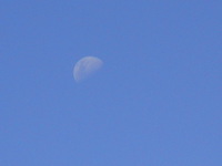 COOLPIX L22, 2013:08:16 05:20:30 -- 1/400 sec, f/6.7.  No Flash, Compulsory.4000x3000 