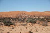 Canon EOS REBEL T2i, 2013:08:15 04:04:16 -- 1/1000 sec, f/5.0.  No Flash, Compulsory.3456x2304 Off.