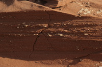 Canon EOS REBEL T2i, 2013:08:18 08:52:29 -- 1/125 sec, f/13.0.  No Flash, Compulsory.3456x2304 Off.