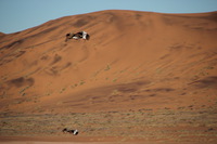 Canon EOS REBEL T2i, 2013:08:10 01:54:38 -- 1/1000 sec, f/6.3.  No Flash, Compulsory.3456x2304 Off.