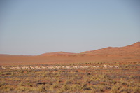 Canon EOS REBEL T2i, 2013:08:10 02:08:56 -- 1/1000 sec, f/5.6.  No Flash, Compulsory.3456x2304 Off.