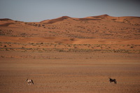 Canon EOS REBEL T2i, 2013:08:10 02:28:38 -- 1/1000 sec, f/6.3.  No Flash, Compulsory.3456x2304 Off.
