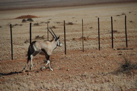 Canon EOS REBEL T2i, 2013:08:18 02:23:01 -- 1/1000 sec, f/6.3.  No Flash, Compulsory.3456x2304 Off.
