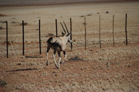 Canon EOS REBEL T2i, 2013:08:18 02:23:02 -- 1/1000 sec, f/6.3.  No Flash, Compulsory.3456x2304 Off.