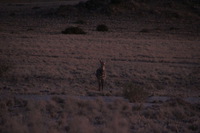 Canon EOS REBEL T2i, 2013:08:18 11:10:56 -- 1/60 sec, f/6.3.  No Flash, Compulsory.3456x2304 Off.