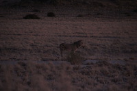 Canon EOS REBEL T2i, 2013:08:18 11:11:09 -- 1/60 sec, f/6.3.  No Flash, Compulsory.3456x2304 Off.