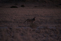 Canon EOS REBEL T2i, 2013:08:18 11:11:12 -- 1/60 sec, f/6.3.  No Flash, Compulsory.3456x2304 Off.
