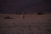 Canon EOS REBEL T2i, 2013:08:18 11:12:04 -- 1/60 sec, f/6.3.  No Flash, Compulsory.3456x2304 Off.