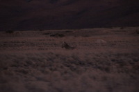 Canon EOS REBEL T2i, 2013:08:18 11:12:26 -- 1/60 sec, f/6.3.  No Flash, Compulsory.3456x2304 Off.