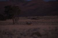 Canon EOS REBEL T2i, 2013:08:18 11:12:29 -- 1/60 sec, f/6.3.  No Flash, Compulsory.3456x2304 Off.