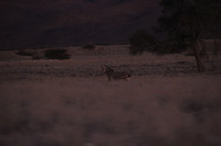 Canon EOS REBEL T2i, 2013:08:18 11:12:31 -- 1/60 sec, f/6.3.  No Flash, Compulsory.3456x2304 Off.