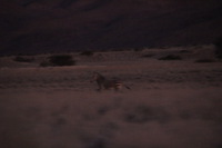 Canon EOS REBEL T2i, 2013:08:18 11:12:32 -- 1/60 sec, f/6.3.  No Flash, Compulsory.3456x2304 Off.
