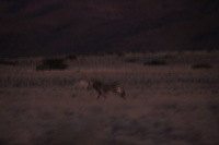 Canon EOS REBEL T2i, 2013:08:18 11:12:34 -- 1/60 sec, f/6.3.  No Flash, Compulsory.3456x2304 Off.