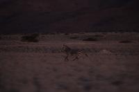 Canon EOS REBEL T2i, 2013:08:18 11:12:35 -- 1/60 sec, f/6.3.  No Flash, Compulsory.3456x2304 Off.
