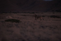 Canon EOS REBEL T2i, 2013:08:18 11:12:41 -- 1/60 sec, f/6.3.  No Flash, Compulsory.3456x2304 Off.