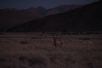 Canon EOS REBEL T2i, 2013:08:18 11:12:49 -- 1/60 sec, f/6.3.  No Flash, Compulsory.3456x2304 Off.