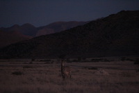 Canon EOS REBEL T2i, 2013:08:18 11:12:57 -- 1/60 sec, f/6.3.  No Flash, Compulsory.3456x2304 Off.