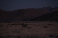 Canon EOS REBEL T2i, 2013:08:18 11:13:01 -- 1/60 sec, f/6.3.  No Flash, Compulsory.3456x2304 Off.