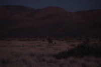 Canon EOS REBEL T2i, 2013:08:18 11:13:08 -- 1/60 sec, f/6.3.  No Flash, Compulsory.3456x2304 Off.