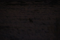 Canon EOS REBEL T2i, 2013:08:18 11:15:19 -- 1/60 sec, f/6.3.  No Flash, Compulsory.3456x2304 Off.