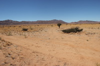 Canon EOS REBEL T2i, 2013:08:19 04:25:00 -- 1/500 sec, f/8.0.  No Flash, Compulsory.3456x2304 Off.