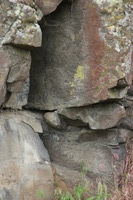 Canon EOS REBEL T2i, 2011:06:18 09:57:33 -- 1/400 sec, f/7.1.  No Flash, Compulsory.5184x3456 Off.