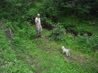 Canon PowerShot SD30, 2009:06:14 18:04:20 -- 1/60 sec, f/3.2.  Flash, Auto.2592x1944 Auto.