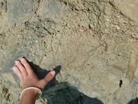 DSCN0852.JPG(701179 bytes) -- NIKON-E990,  2002:09:24 14:20:58,  [2048 x 1536],  fl=N,  f=18.5mm,  exptime=0.005 s  (1/202),  f/7.8