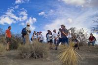 IMG00435.jpg(1248537 bytes) -- SIGMA-SIGMA SD9,  2004:03:31 16:57:50,  [2268 x 1512],  fl=N,  f=30.0mm,  exptime=0.008 s  (1/125),  f/13.0