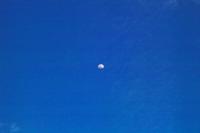 IMG00461.jpg(861734 bytes) -- SIGMA-SIGMA SD9,  2004:03:31 18:18:20,  [2268 x 1512],  fl=N,  f=70.0mm,  exptime=0.004 s  (1/250),  f/11.0