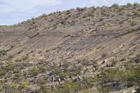 IMG00466.jpg(1681833 bytes) -- SIGMA-SIGMA SD9,  2004:04:01 09:36:46,  [2268 x 1512],  fl=N,  f=70.0mm,  exptime=0.002 s  (1/500),  f/8.0