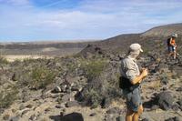 IMG00474.jpg(1446979 bytes) -- SIGMA-SIGMA SD9,  2004:04:01 09:47:17,  [2268 x 1512],  fl=N,  f=24.0mm,  exptime=0.002 s  (1/500),  f/11.0