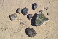 IMG00487.jpg(1901324 bytes) -- SIGMA-SIGMA SD9,  2004:04:01 11:53:17,  [2268 x 1512],  fl=N,  f=48.0mm,  exptime=0.002 s  (1/500),  f/9.5