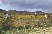 IMG00502.jpg(1553299 bytes) -- SIGMA-SIGMA SD9,  2004:04:02 09:51:34,  [2268 x 1512],  fl=N,  f=34.0mm,  exptime=0.006 s  (1/180),  f/13.0