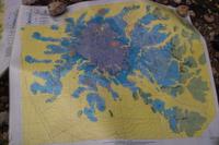 IMG00509.jpg(1350509 bytes) -- SIGMA-SIGMA SD9,  2004:04:02 10:17:58,  [2268 x 1512],  fl=N,  f=26.0mm,  exptime=0.003 s  (1/350),  f/13.0