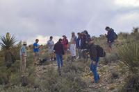 IMG00513.jpg(1139324 bytes) -- SIGMA-SIGMA SD9,  2004:04:02 10:28:57,  [2268 x 1512],  fl=N,  f=32.0mm,  exptime=0.004 s  (1/250),  f/8.0