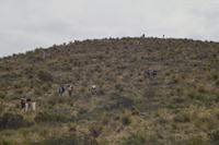 IMG00523.jpg(1096446 bytes) -- SIGMA-SIGMA SD9,  2004:04:02 11:07:06,  [2268 x 1512],  fl=N,  f=70.0mm,  exptime=0.008 s  (1/125),  f/11.0