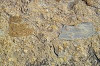 IMG00529.jpg(2081211 bytes) -- SIGMA-SIGMA SD9,  2004:04:02 14:09:19,  [2268 x 1512],  fl=N,  f=32.0mm,  exptime=0.003 s  (1/350),  f/11.0