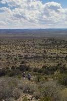 IMG00543.jpg(1095487 bytes) -- SIGMA-SIGMA SD9,  2004:04:02 15:02:21,  [2268 x 1512],  fl=N,  f=26.0mm,  exptime=0.022 s  (1/45),  f/32.0