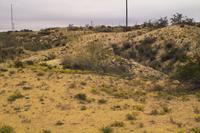 IMG00569.jpg(1607975 bytes) -- SIGMA-SIGMA SD9,  2004:04:03 11:02:32,  [2268 x 1512],  fl=N,  f=24.0mm,  exptime=0.004 s  (1/250),  f/13.0