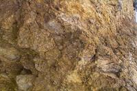 IMG00574.jpg(1834980 bytes) -- SIGMA-SIGMA SD9,  2004:04:03 11:11:06,  [2268 x 1512],  fl=N,  f=24.0mm,  exptime=0.008 s  (1/125),  f/16.0