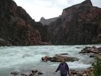 dscn1251.jpg(669865 bytes) -- NIKON-E990,  2003:04:22 10:24:08,  [2048 x 1536],  fl=N,  f= 8.2mm,  exptime=0.005 s  (1/211),  f/5.5