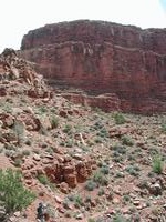 dscn1280.jpg(726408 bytes) -- NIKON-E990,  2003:04:23 11:58:03,  [2048 x 1536],  fl=N,  f= 8.2mm,  exptime=0.004 s  (1/229),  f/5.5