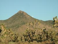 DSCN0276.JPG(710672 bytes) -- NIKON-E990,  2001:08:01 19:12:43,  [2048 x 1536],  fl=N,  f=23.4mm,  exptime=0.007 s  (1/142),  f/6.3