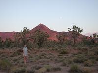 DSCN0283.JPG(683325 bytes) -- NIKON-E990,  2001:08:01 19:39:09,  [2048 x 1536],  fl=N,  f=10.6mm,  exptime=0.013 s  (1/77),  f/3.0