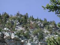 DSCN0312.JPG(718672 bytes) -- NIKON-E990,  2001:08:05 12:15:51,  [2048 x 1536],  fl=N,  f=23.4mm,  exptime=0.006 s  (1/160),  f/6.3